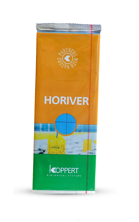 Horiver Sticky Trap Cards w/grid 10/pk-