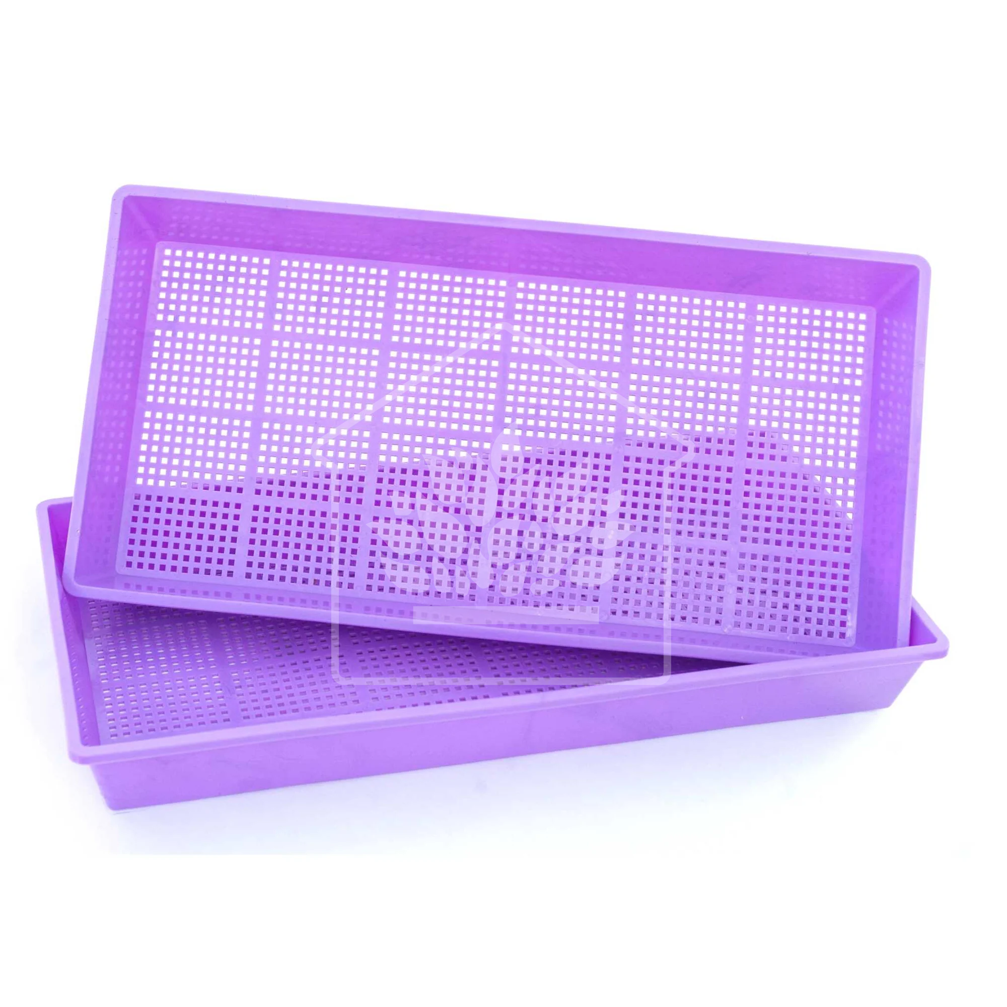 Bootstrap Farmer Extra Strength Mesh Propagation  Tray 10" x 20"