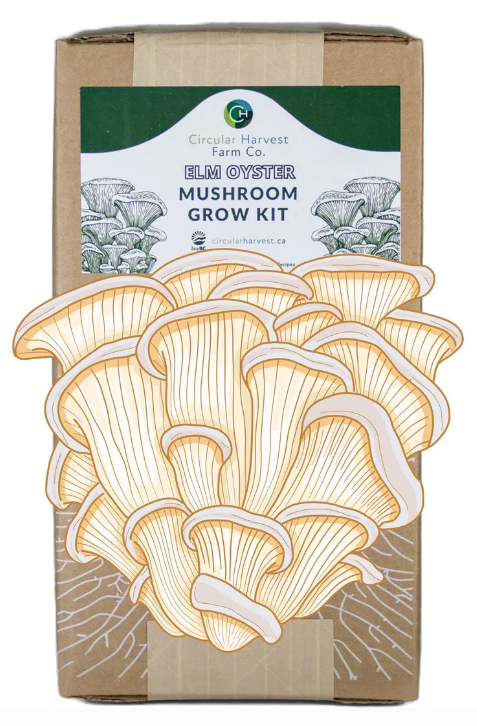 Circular Harvest Farm Co. Mushroom Grow Kit