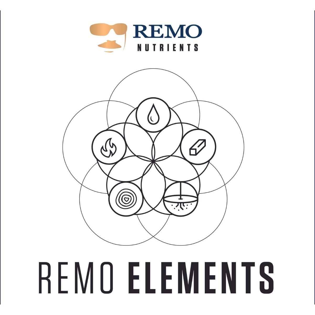 Remo Nutrients Remo Nutrients - Elements Part B, 14-0-9