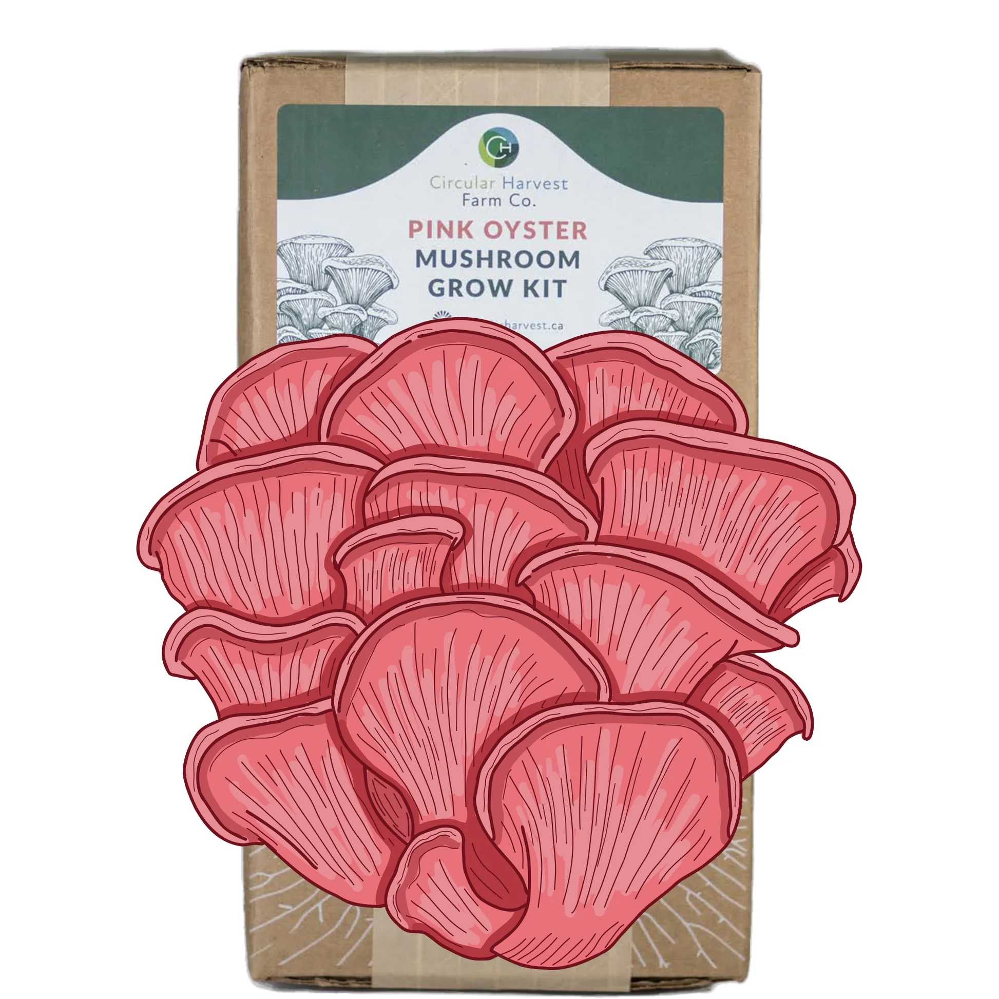 Circular Harvest Farm Co. Mushroom Grow Kit