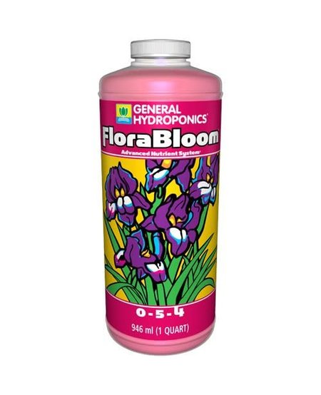 FloraBloom