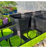 Bootstrap Farmer Insert Tray 5" Pots (8 Cell)