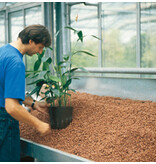 Liaflor Hydroculture