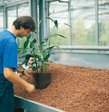 Liaflor Hydroculture