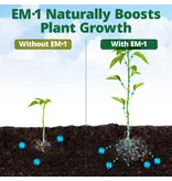 Terraganix EM-1, Microbial Inoculant Soil Amendment