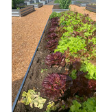 Growboxx.ca Raised Garden Beds