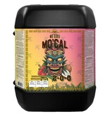 Mo'Koko Mo'Cal 20L