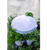 GreenStalk Garden GreenStalk Garden - Spring Lid -
