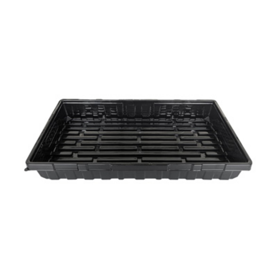 Mondi 10x20 Propagation Tray With Holes