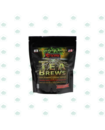 XTREME TEA BREWS