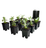 Grow Flow 5 gal System w/Controller Unit & 3/4" Tubing