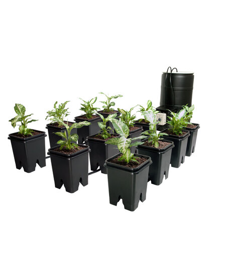 Grow Flow 5 gal System