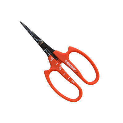 Chikamasa Shears with Fluorine Coating (B-600SUF)