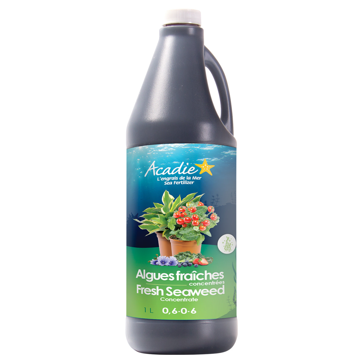 Acadie Fresh Seaweed Concentrate