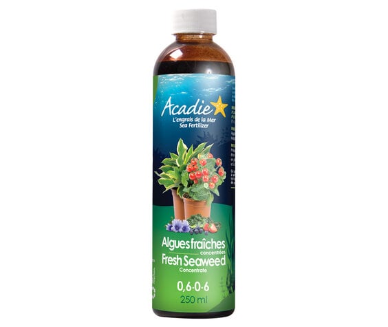 Acadie Fresh Seaweed Concentrate