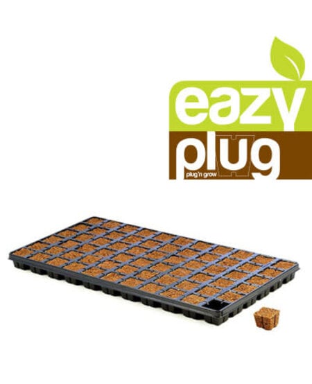 Eazy Plug - CT66 Case- Sold Singles