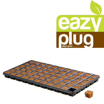 Eazy Plug Eazy Plug - CT66 Case- Sold Singles
