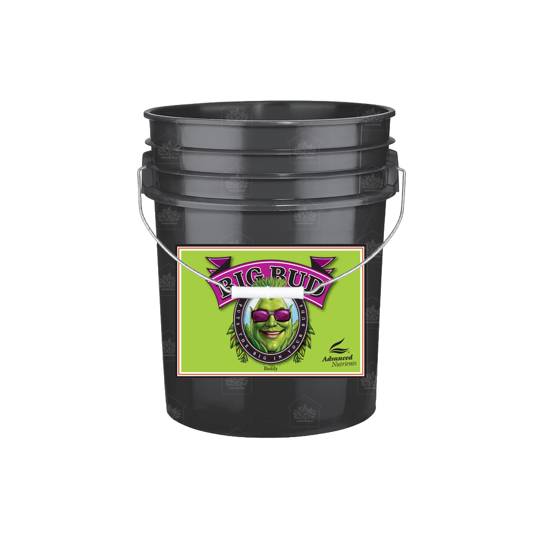 Advanced Nutrients Big Bud Powder