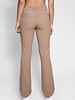 Neston Bootcut Pant Camel