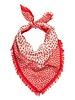 Destin Spring Bandana Red