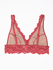 Xirena Livvie Bra Hibiscus