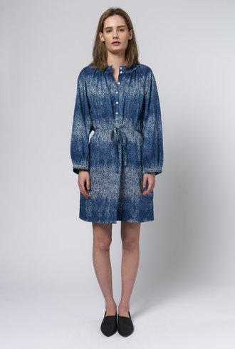 Raquel Allegra Sparrow Dress Dapples