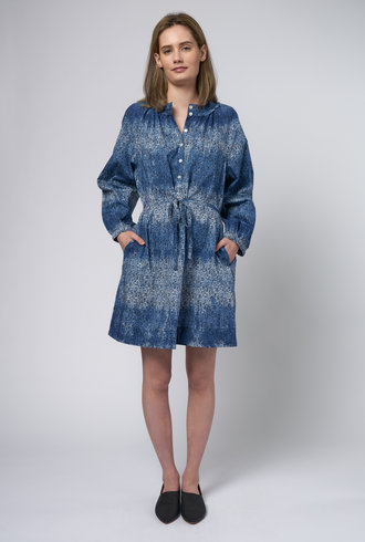 Raquel Allegra Sparrow Dress Dapples