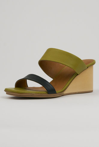 Coclico Doe Wedge Olive and  Deep Sea