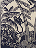 Inouitoosh Square Jungle Night/Nuit