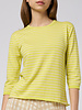 MJW. Pima Cotton Pullover Citron Stripe