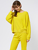 The Great The Teammate Sweatshirt Daffodil