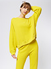 The Great The Teammate Sweatshirt Daffodil