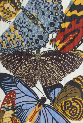 Inouitoosh Papillons Etole White