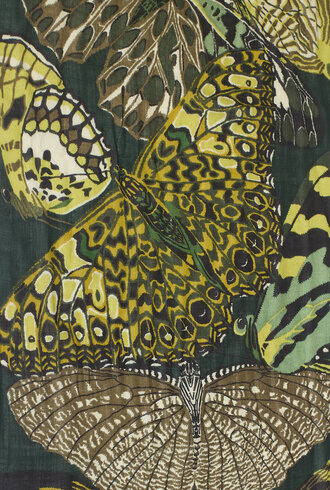 Inouitoosh Papillons Etole Emerald