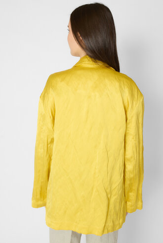 Pomandere Crinkled Viscose Satin Jacket Topaz