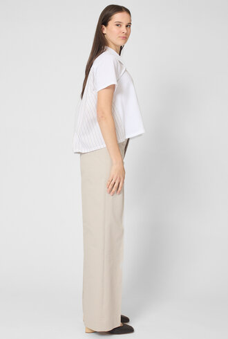 WE-AR4 The Media Polo Multi