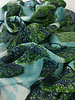 Inouitoosh Oblong Ambroise Etole Green