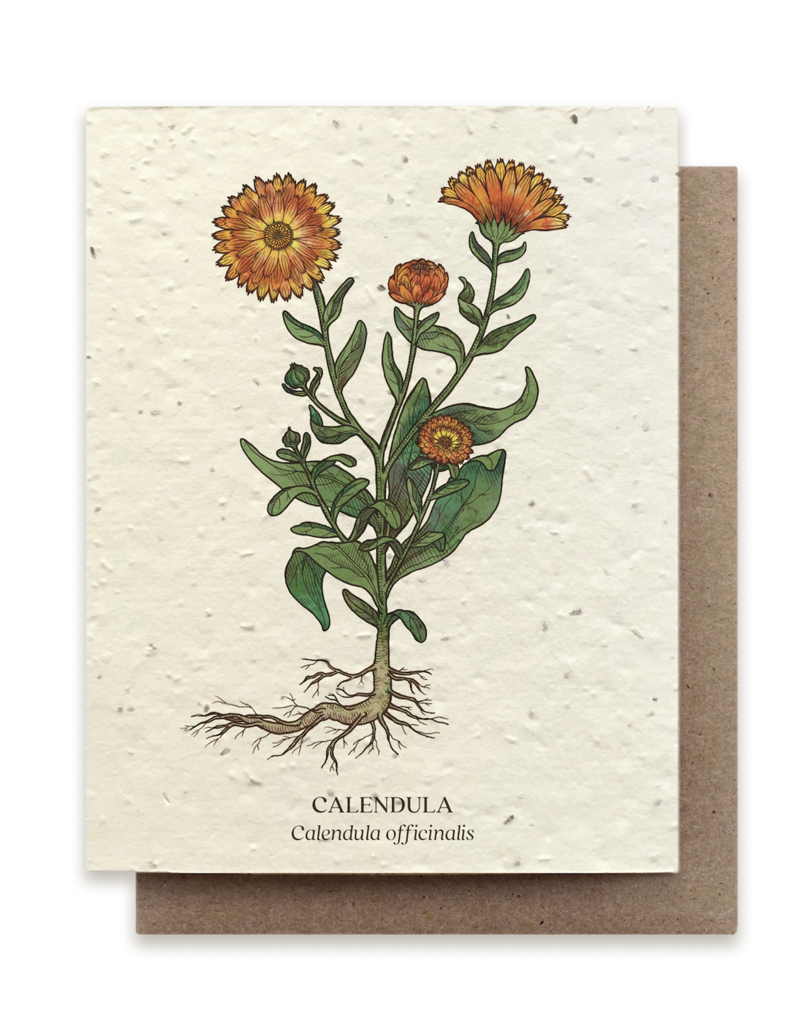 The Bower Studio Calendula Plantable Seed Paper Greeting Card