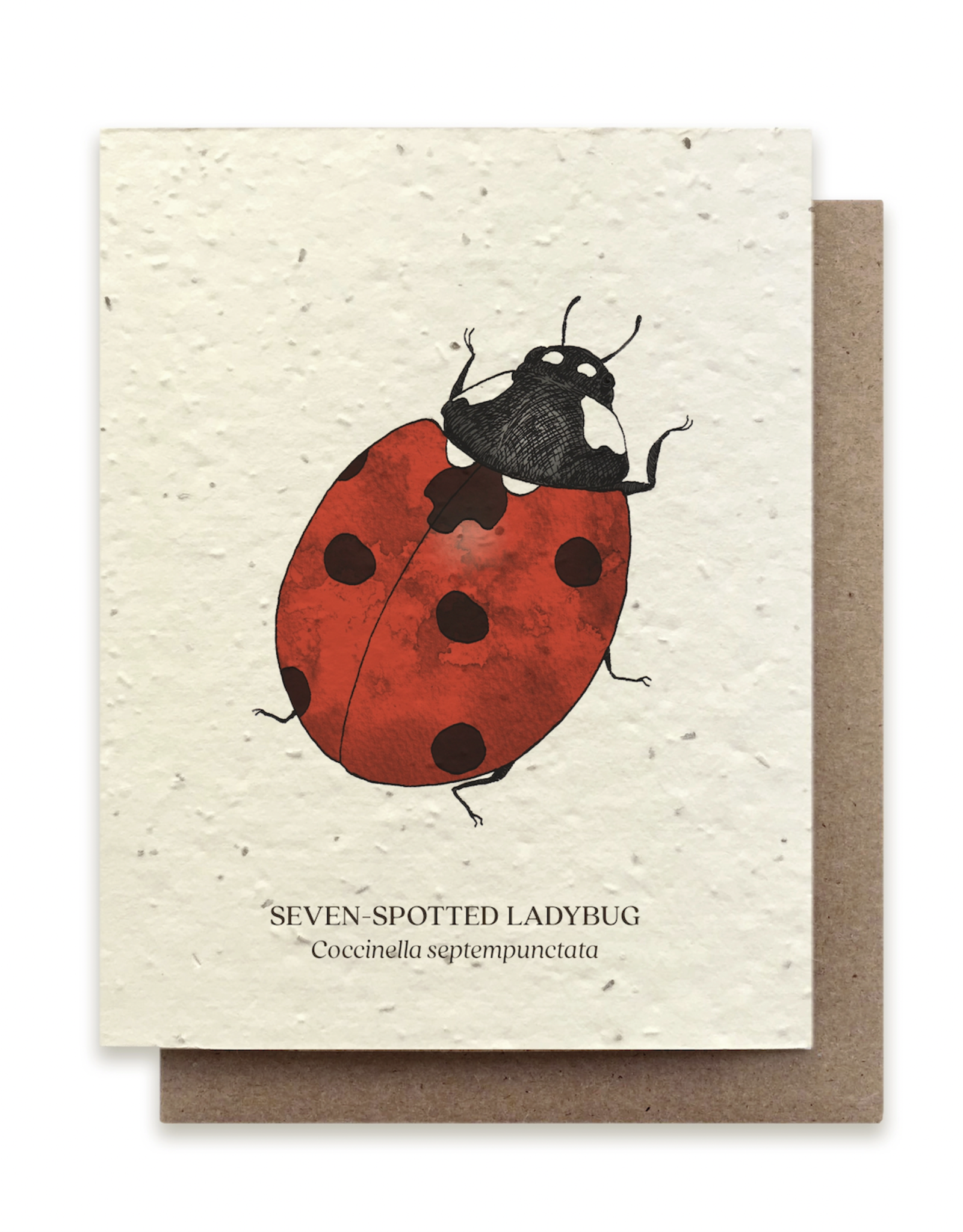 The Bower Studio Ladybug Plantable Seed Paper Greeting Card