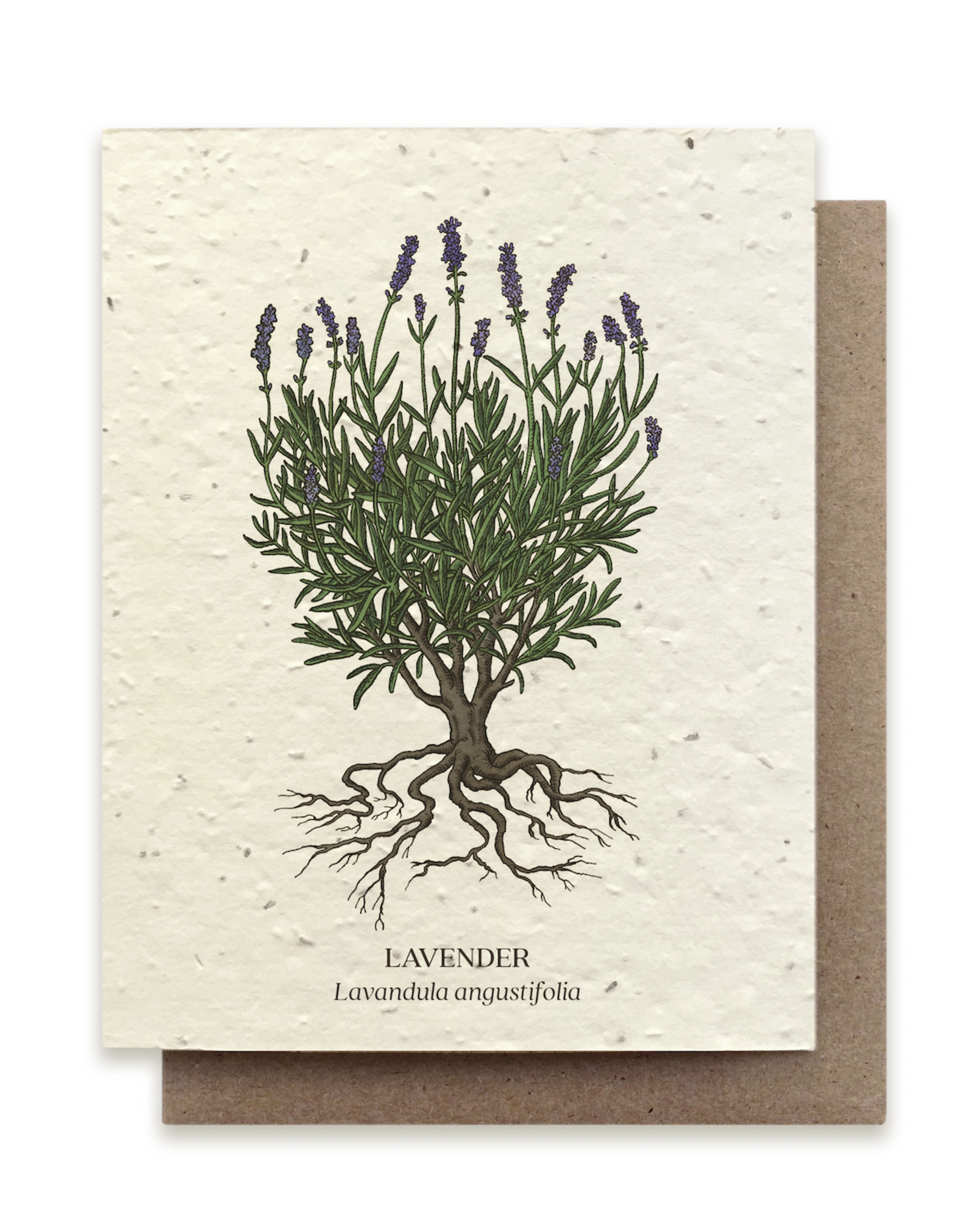 The Bower Studio Lavender Plantable Seed Paper Greeting Card
