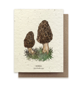 The Bower Studio Morel Plantable Seed Paper Greeting Card