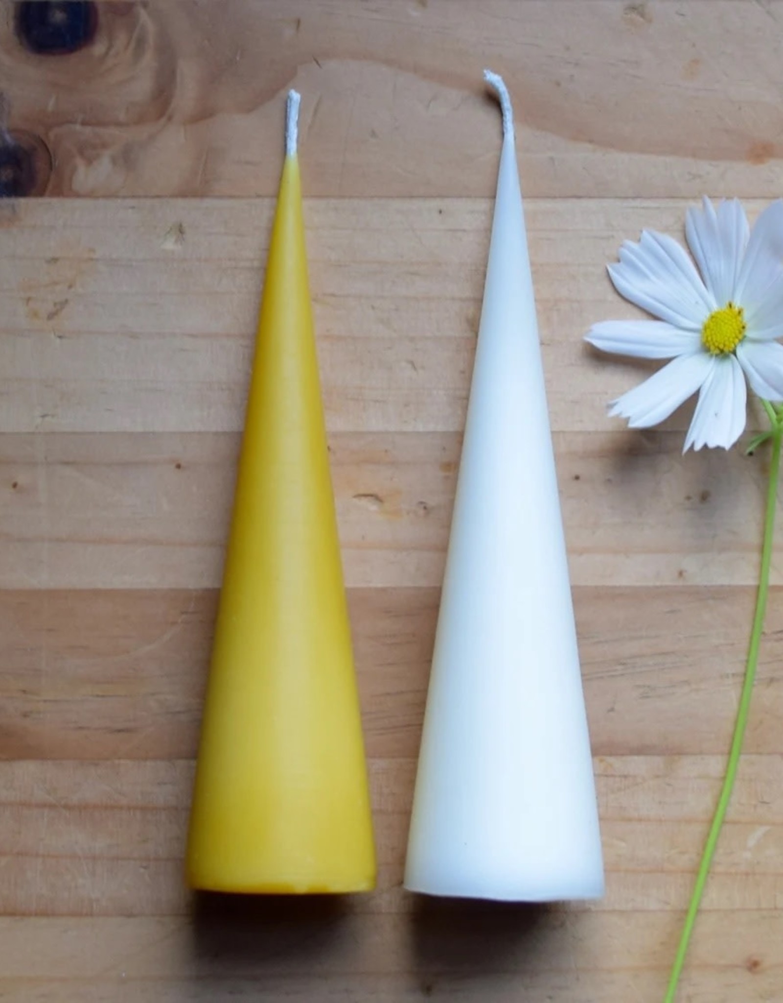 The Wax Studio White 6" Cone Beeswax Candle