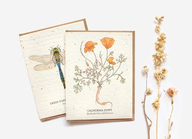 The Bower Studio - Plantable Seed Cards