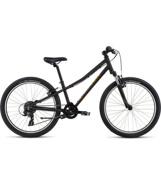 specialized hotrock 29