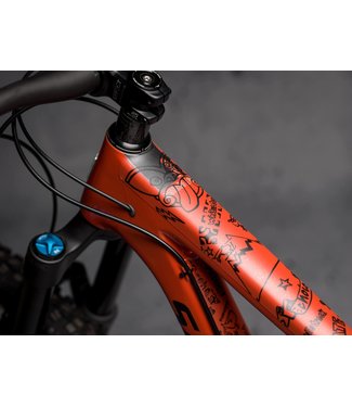 DYEDBRO NZ Enduro 2018