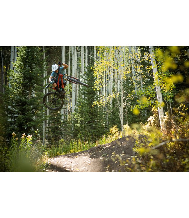 Specialized Stumpjumper Comp Alloy