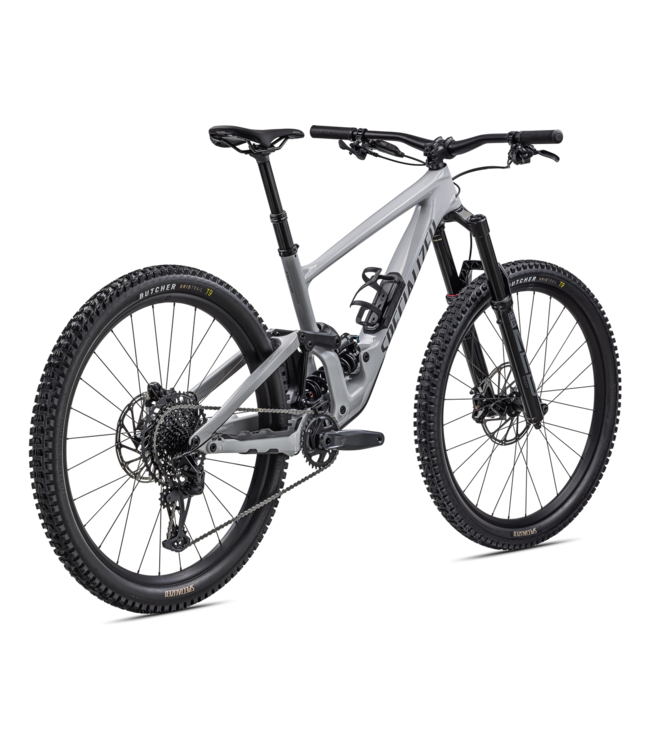 Specialized Enduro Comp - Gloss Dove Grey / Smoke