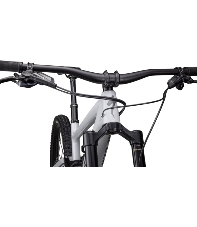 Specialized Enduro Comp - Gloss Dove Grey / Smoke