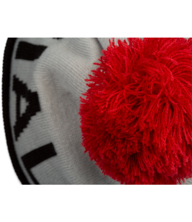 Specialized NEW ERA POM BEANIE SPECIALIZED GRY/BLK OSFA